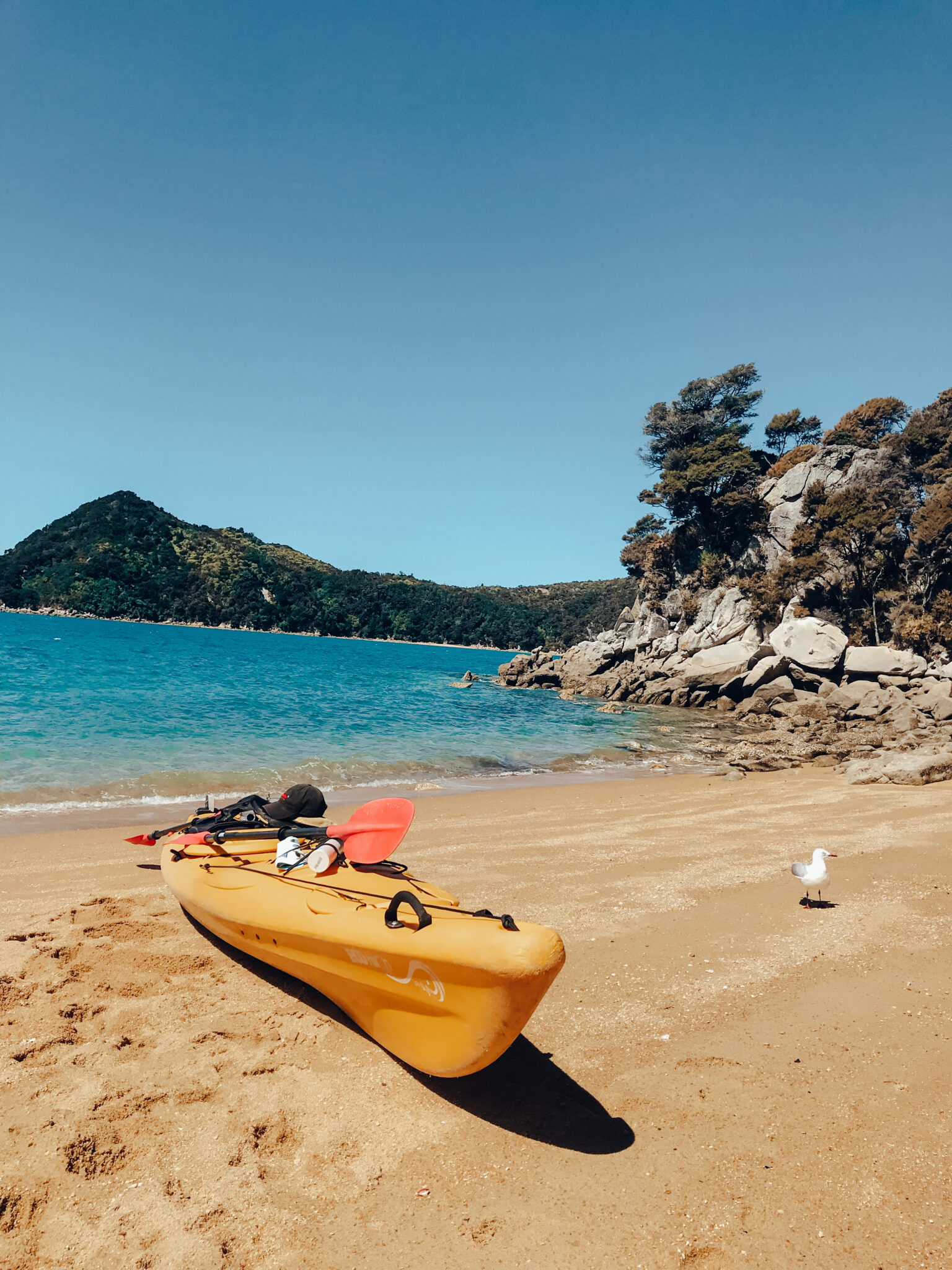 the-top-10-most-fun-outdoor-activities-in-new-zealand-for-your-list